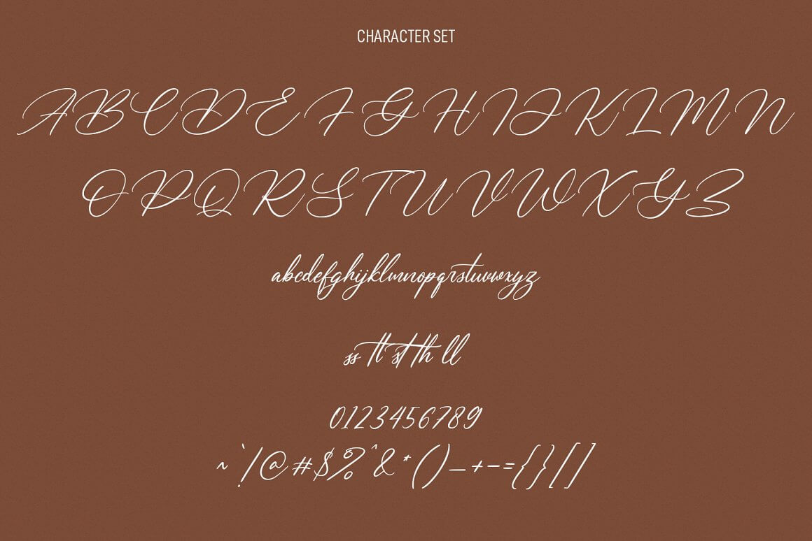 Calipatrya Calligraphy Script Font -3