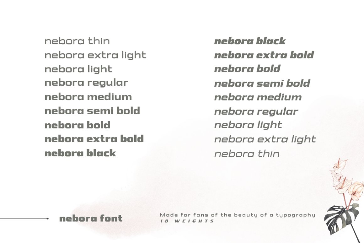 Nebora Font Family-2