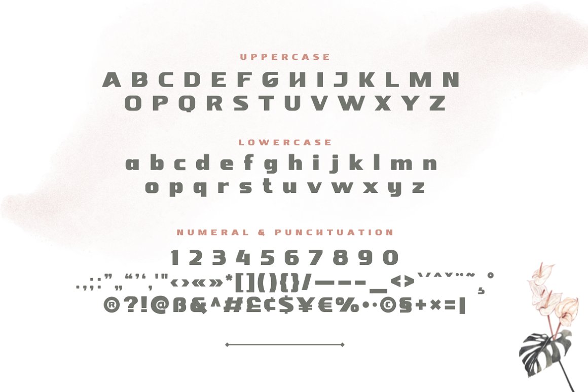 Nebora Font Family-3