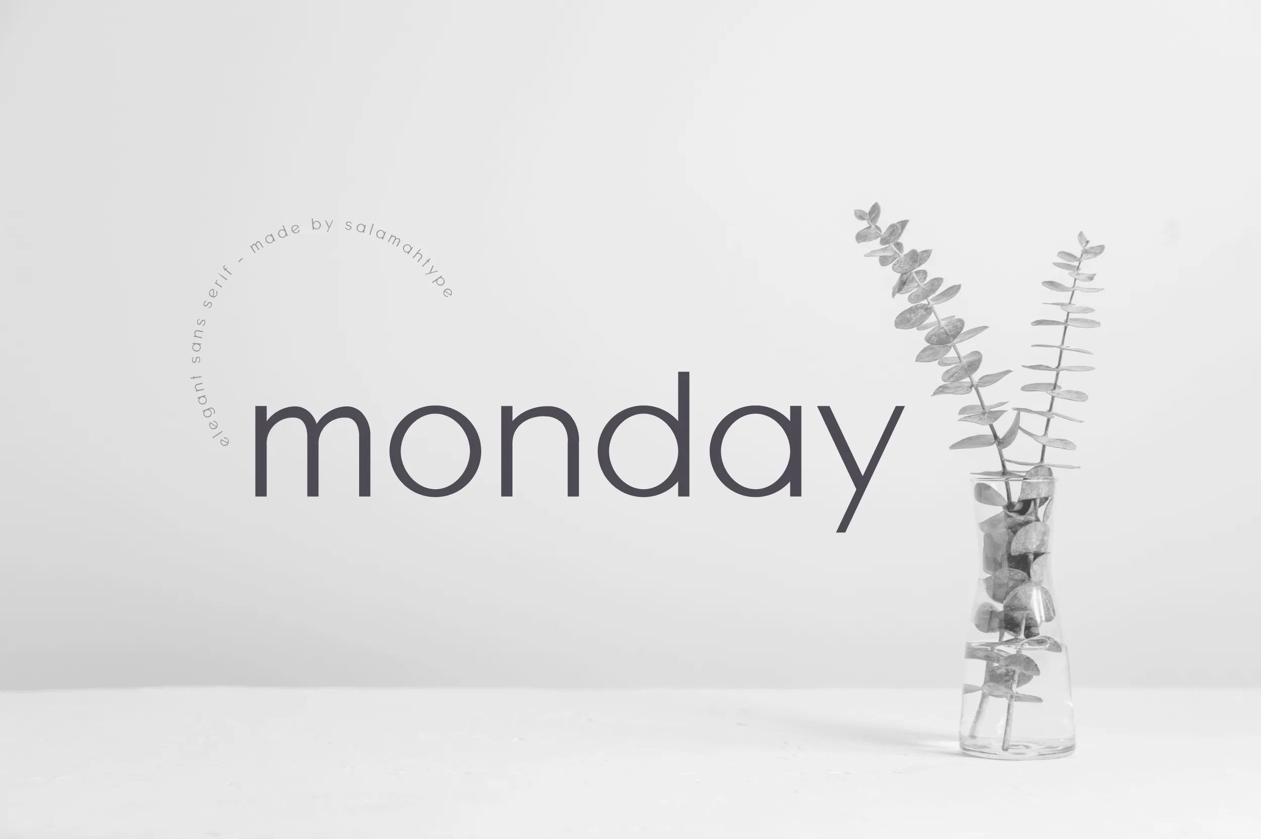 Monday Sans Font