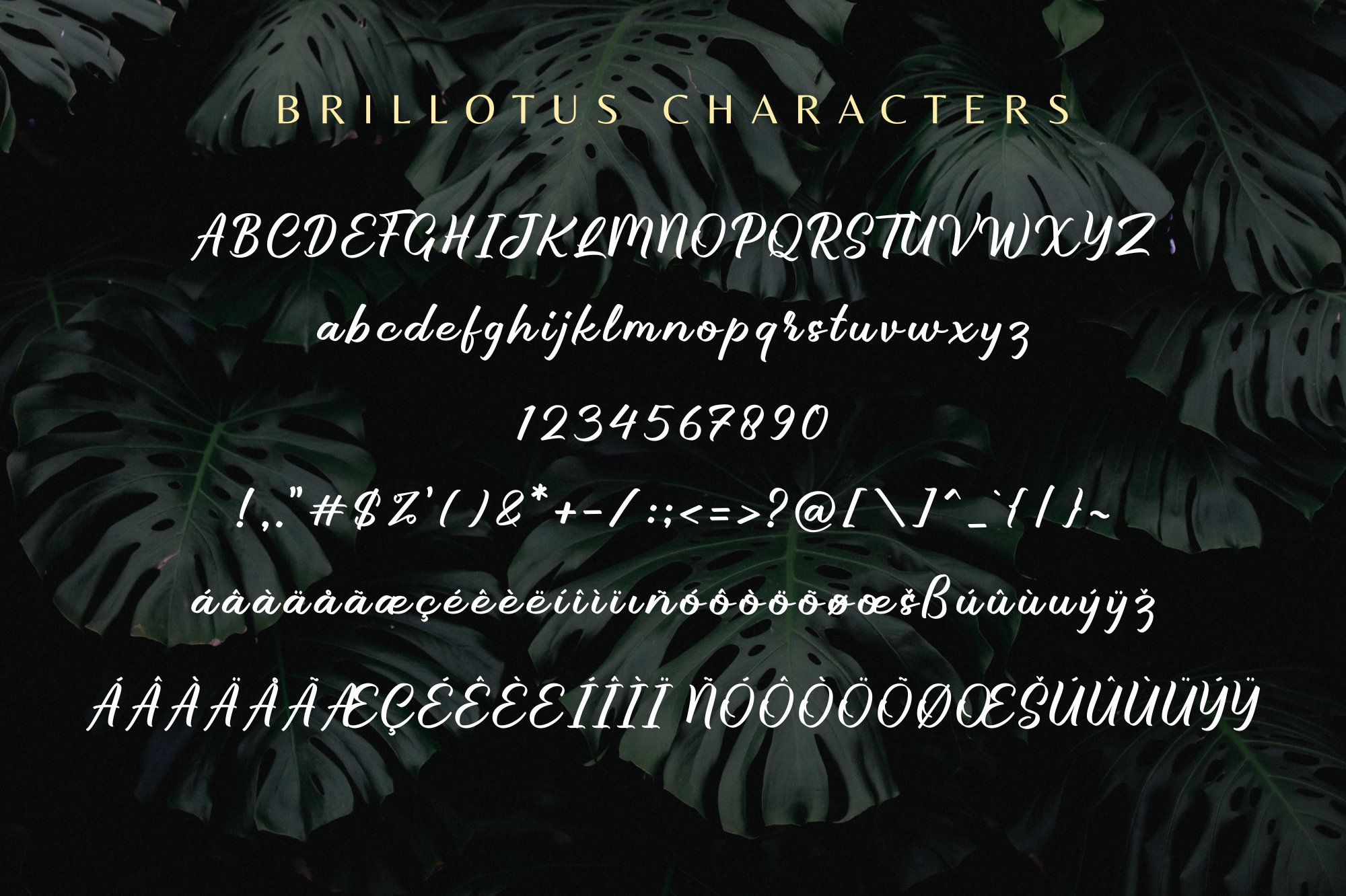 Brillotus Font-3