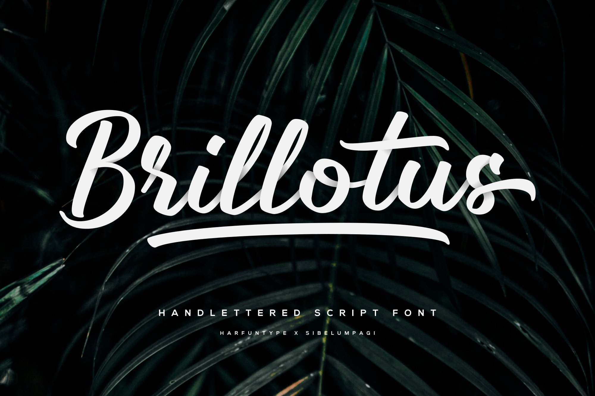 Brillotus Font