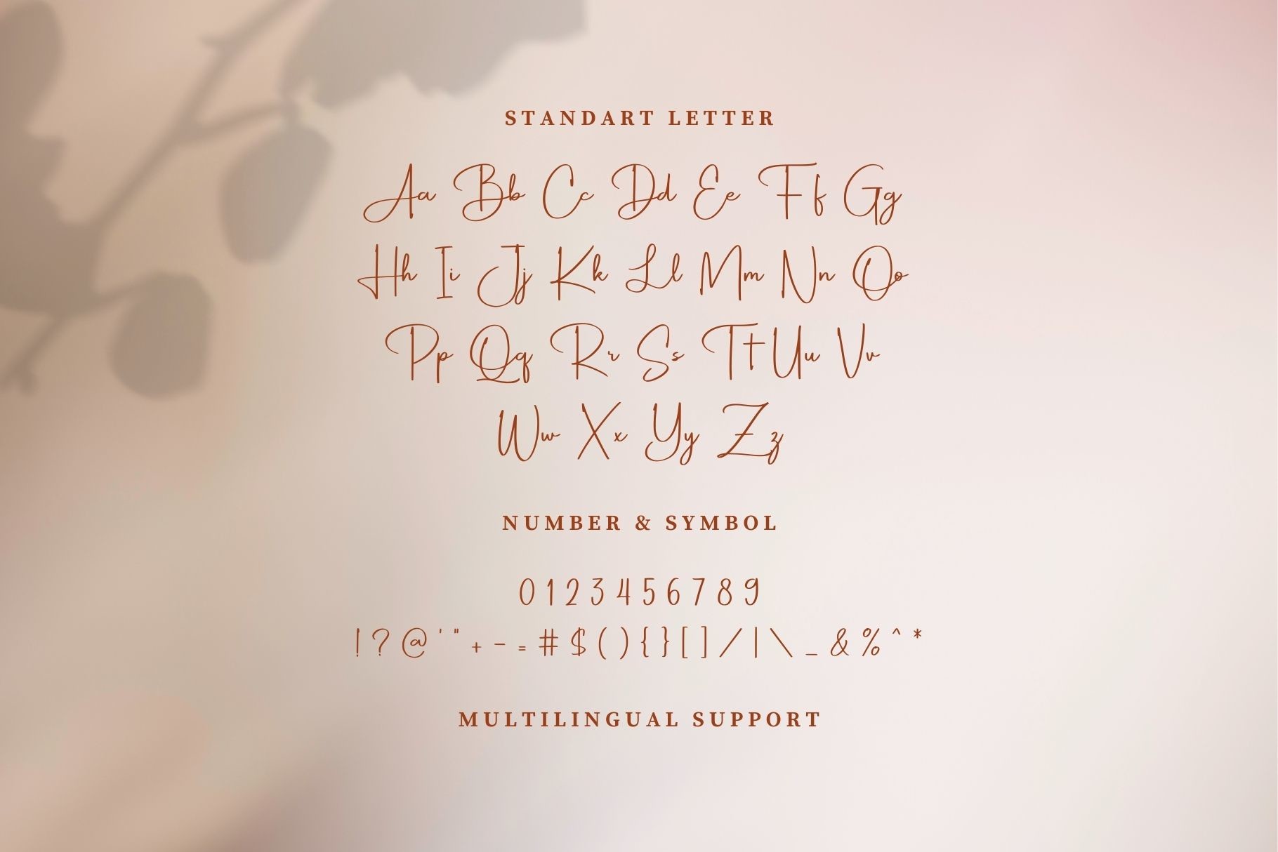 Royal Wedding Signature Font 3