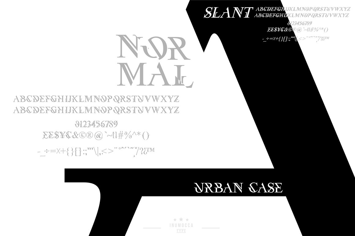 Urban Case Display Serif Font-3