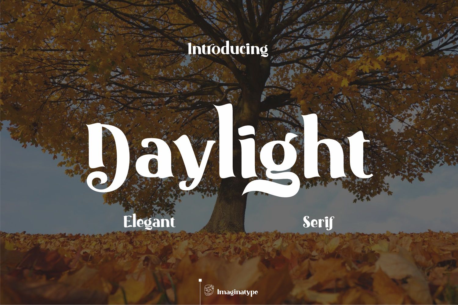 Daylight Typeface