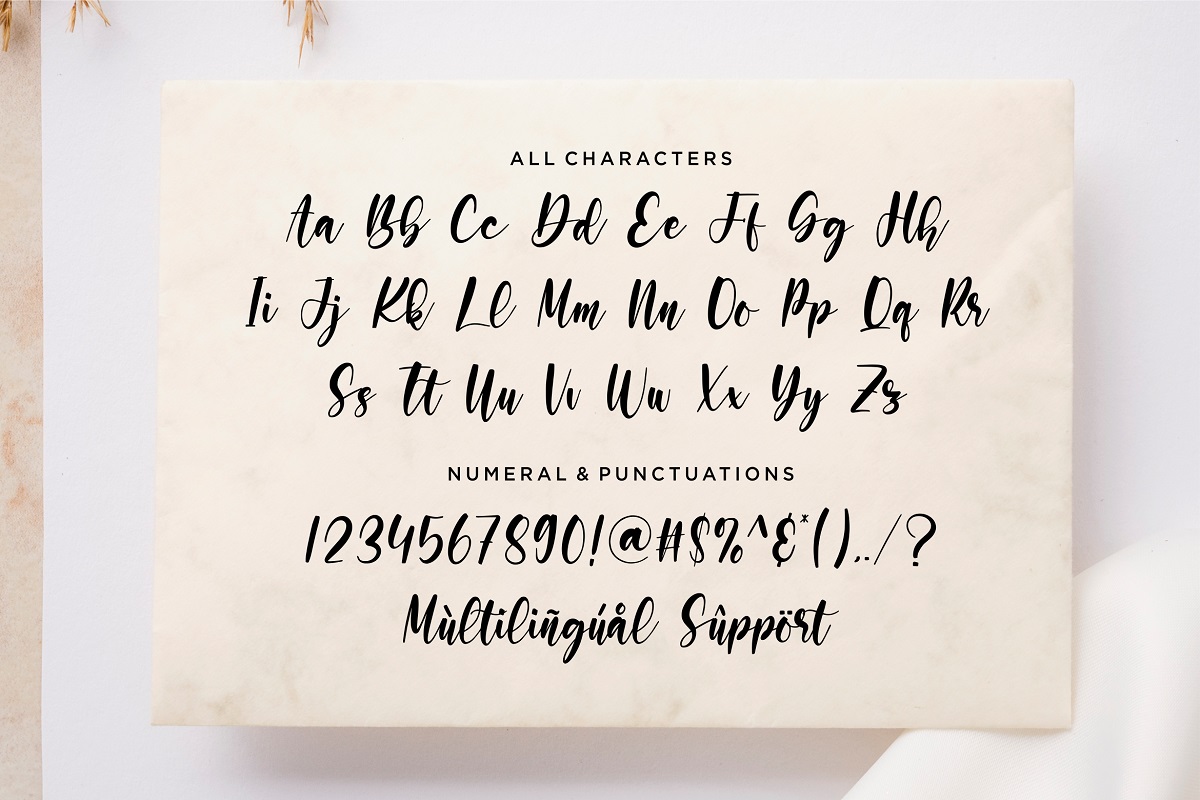 Daisilica Font-3