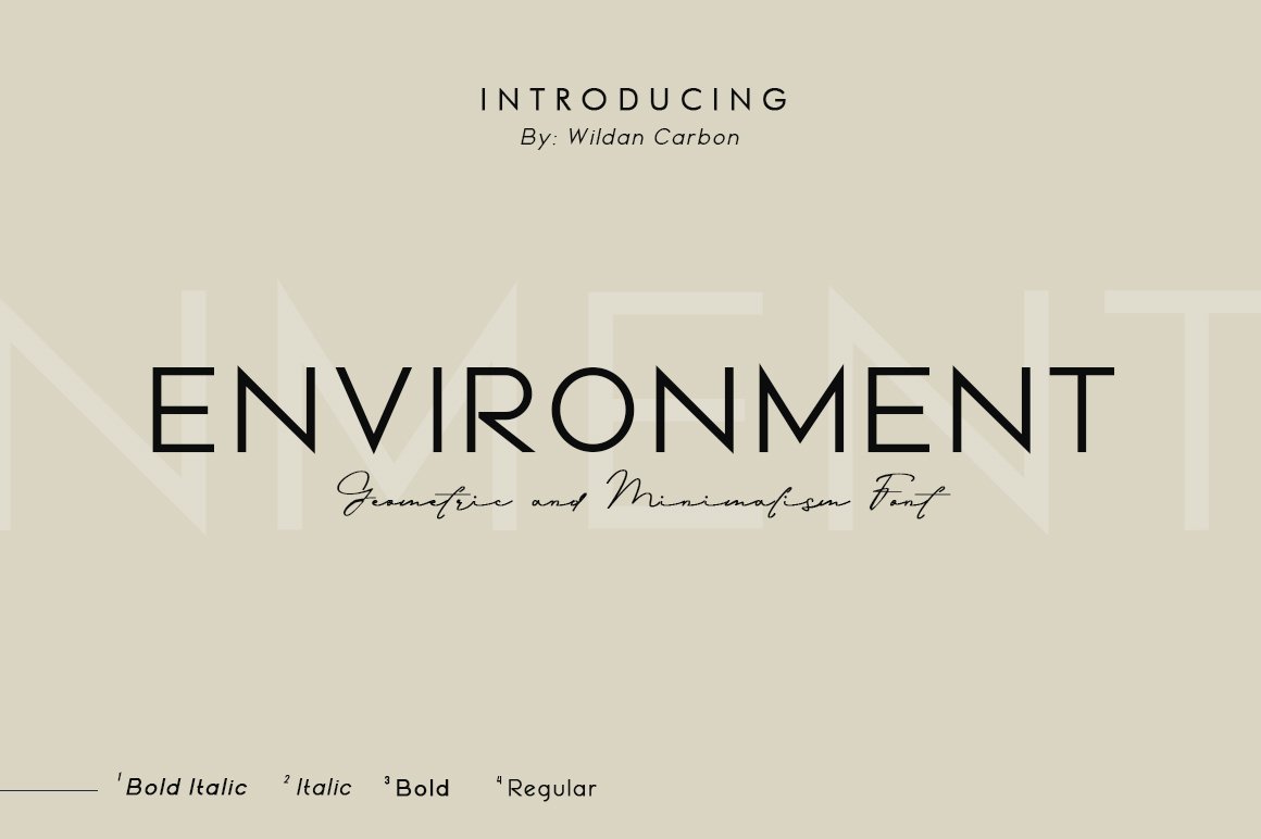 Environment Font Family