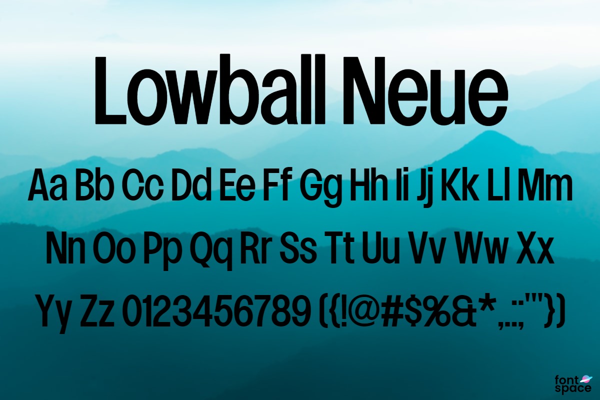 Lowball Neue Font Family-3