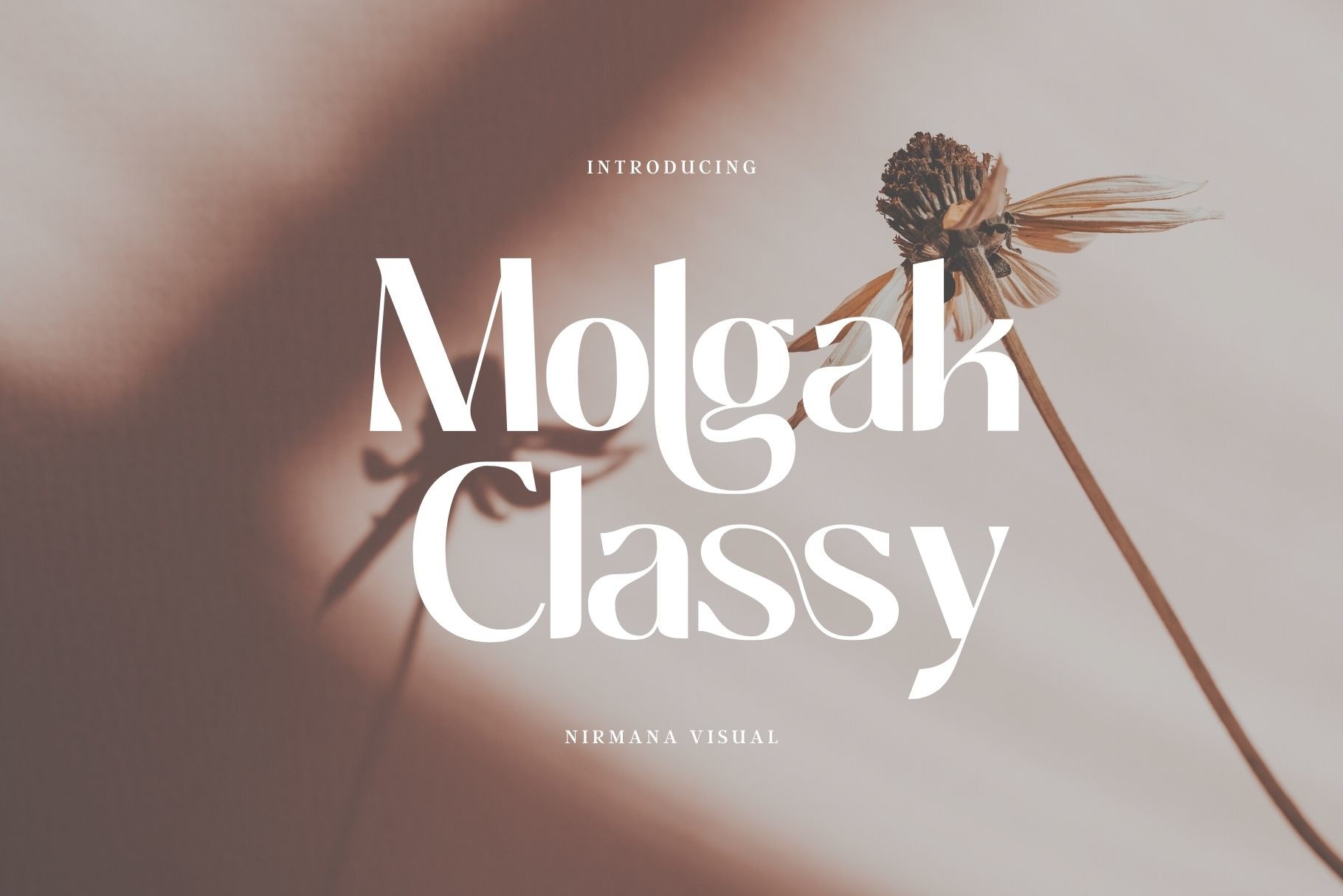 Molgak Classy Font