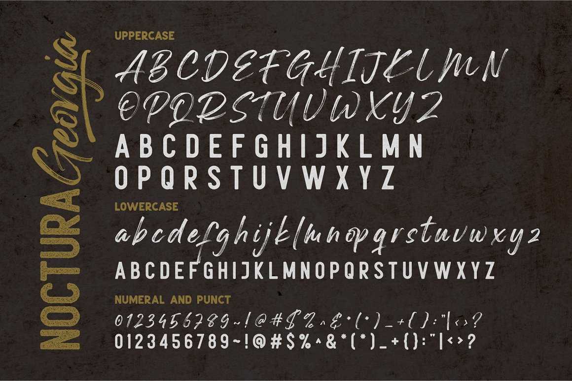 Noctura Georgia Brush-Sans Font Duo-3