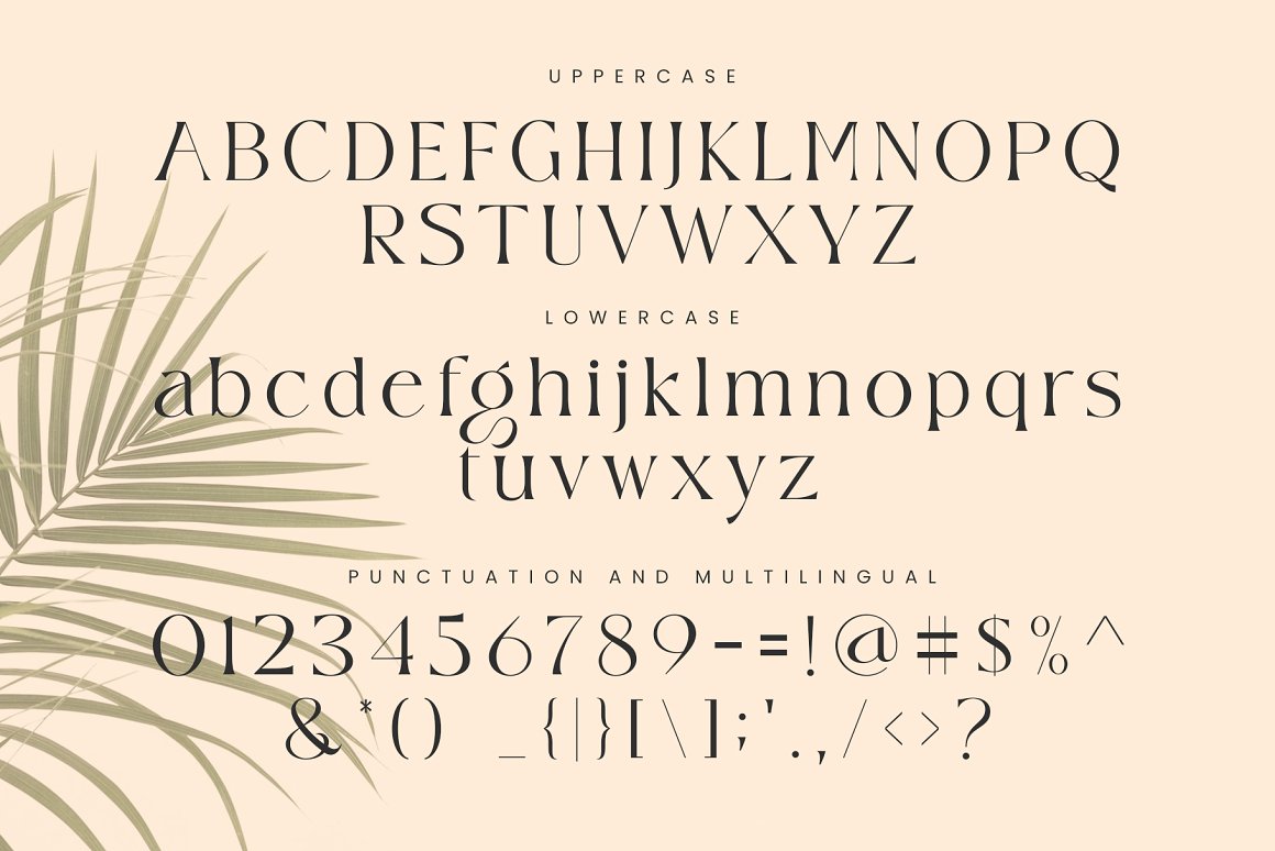 Wisteria Font-3