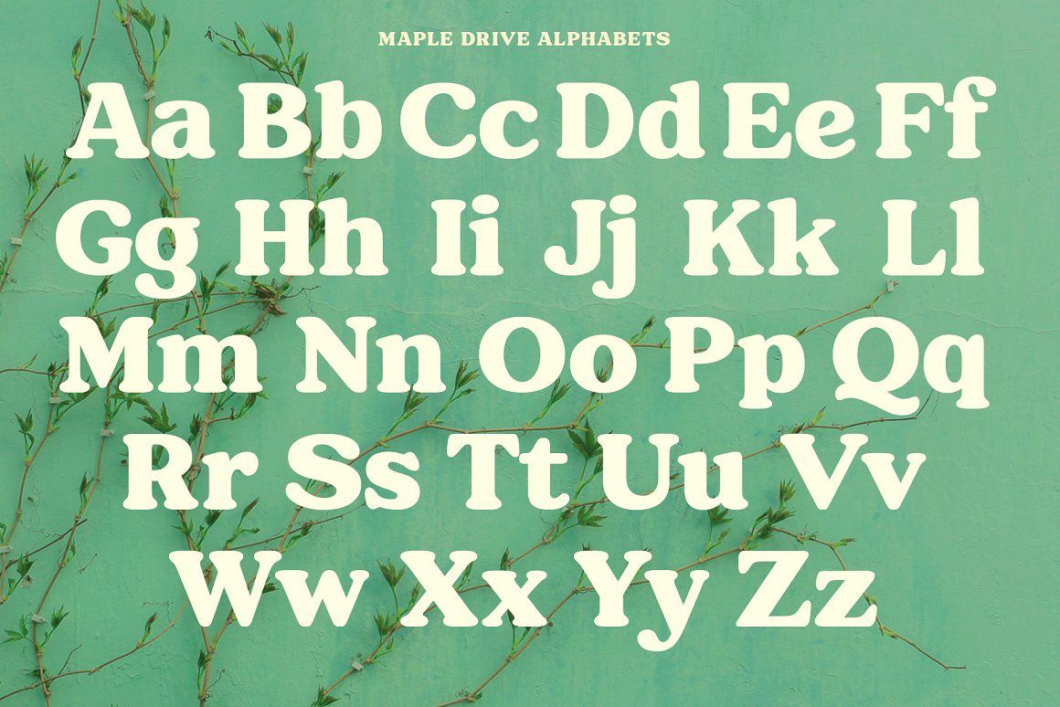 Maple Drive Font-3