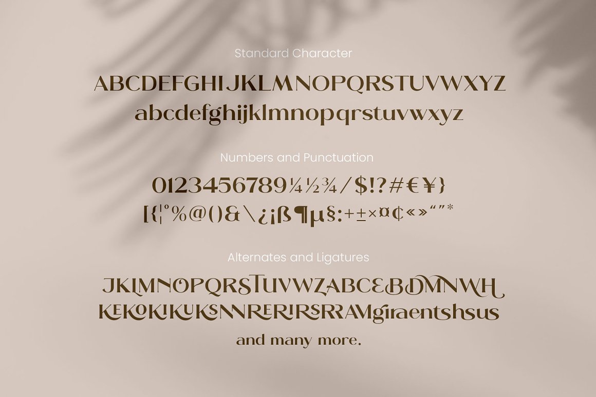 Moldern Font-3