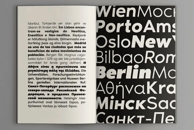 Owen Pro Font Family-3