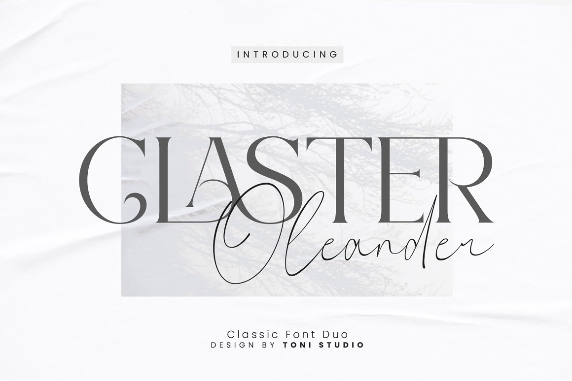 Claster Oleander Font