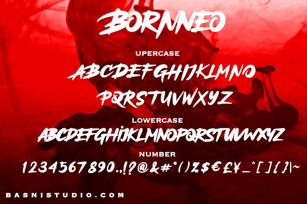 Bornneo Handwritten Display Font 3