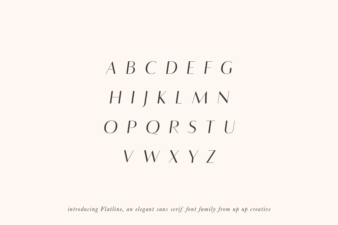 Flatline Sans Font Family-3