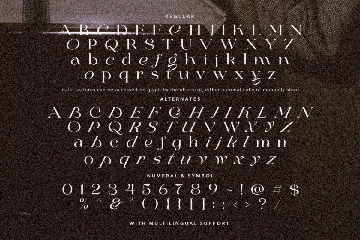 Stylish Delight Font-3