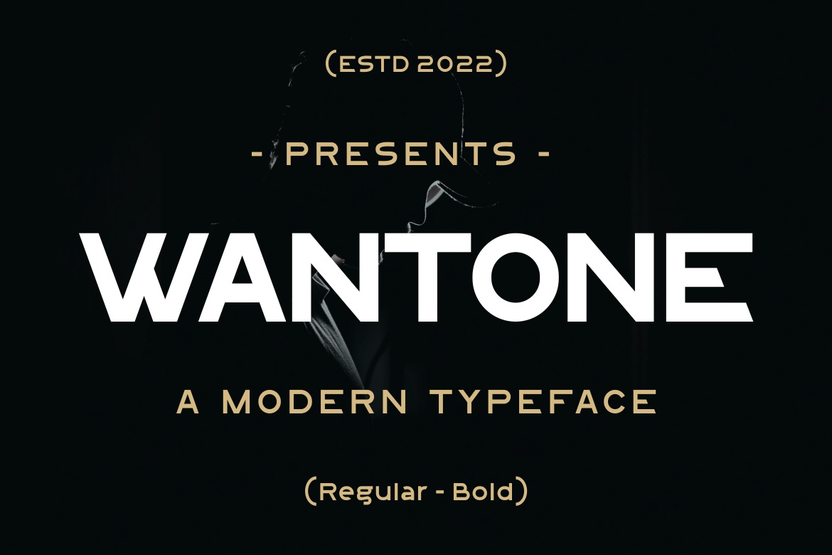 Wantone Font