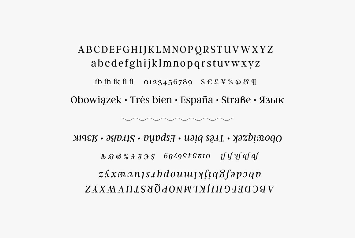 Argent CF Font Family-3