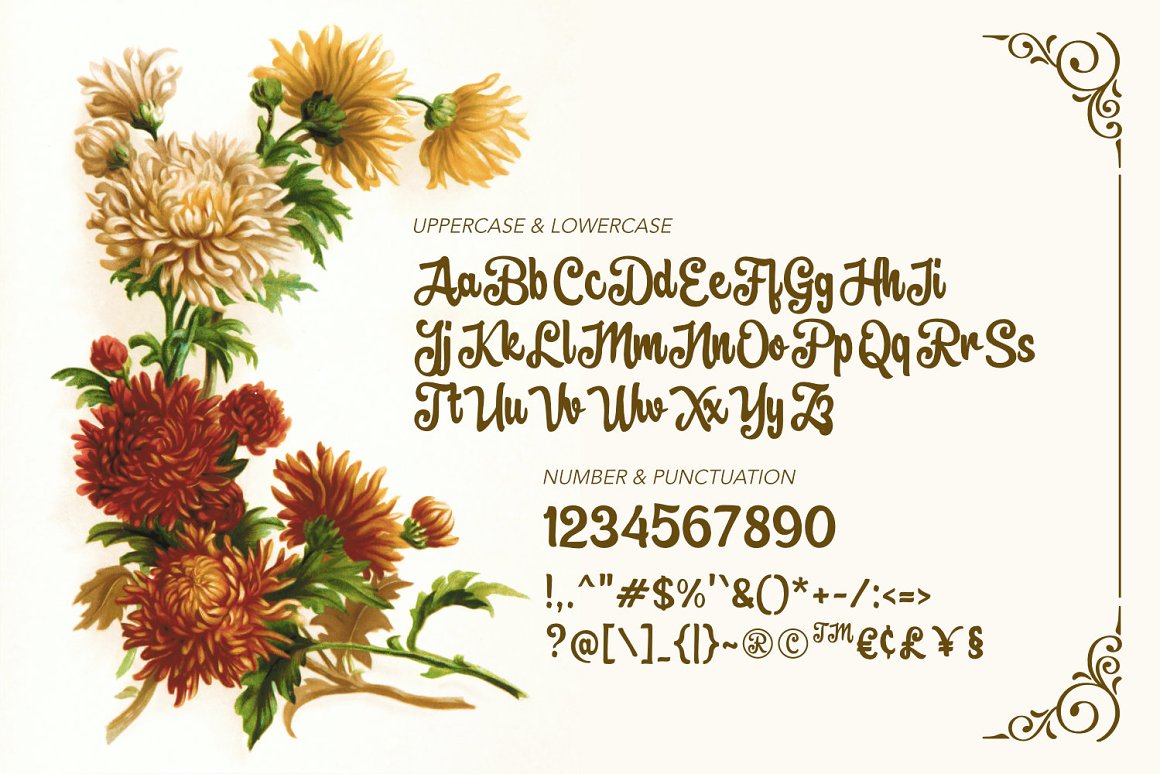 Brownie Fox Font-3