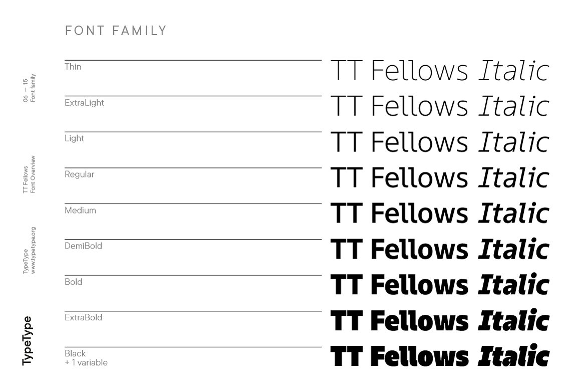 TT Fellows Sans Serif Font Family-3