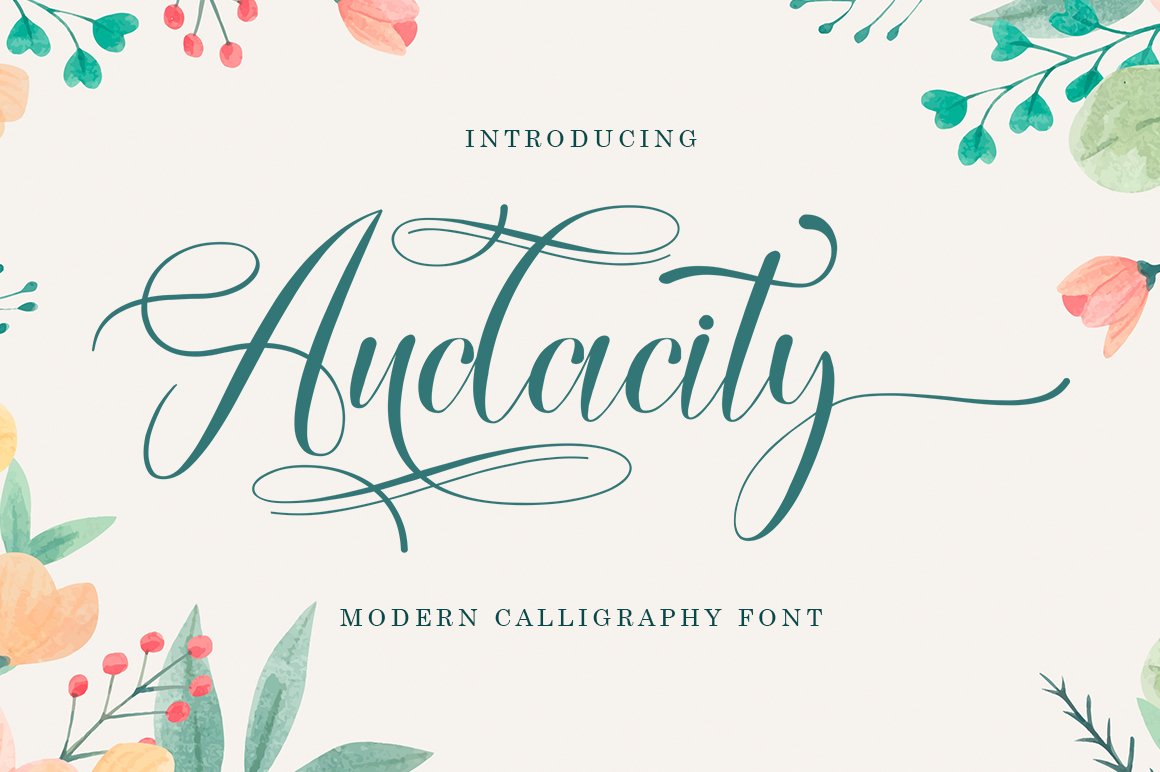 Audacity Script Font