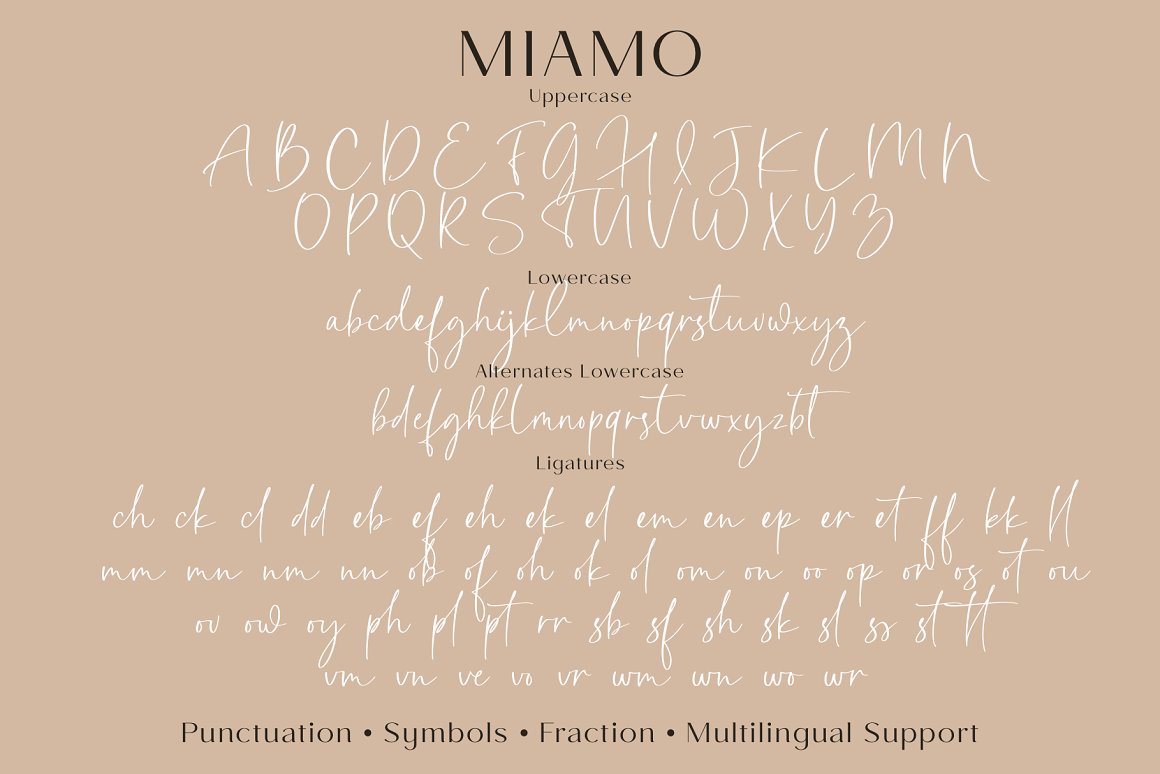 Miamo Sans Serif Font Family 2