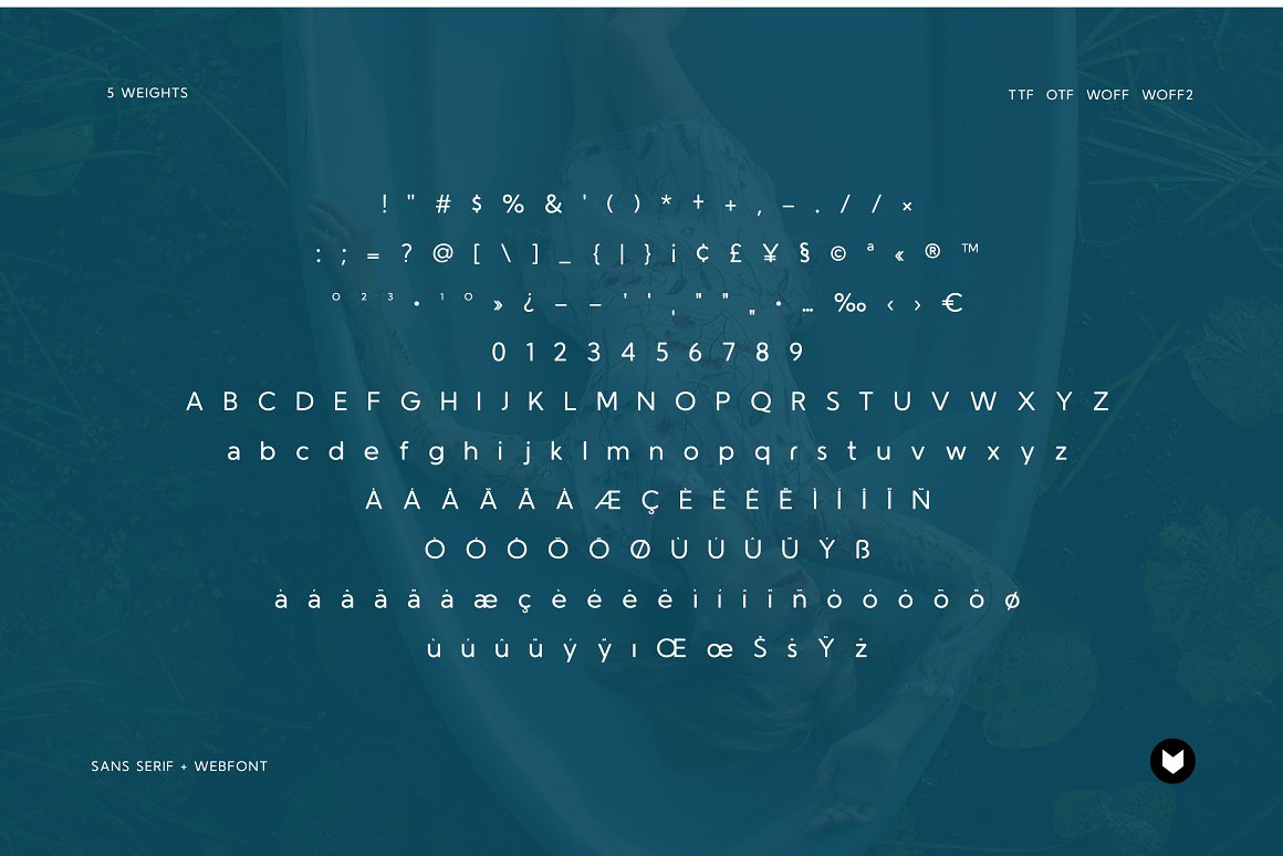 Origo Pro Sans Serif Font Family 3