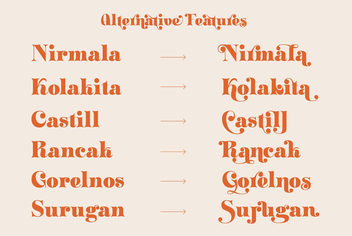 Zt Klotin Display Serif Font-3