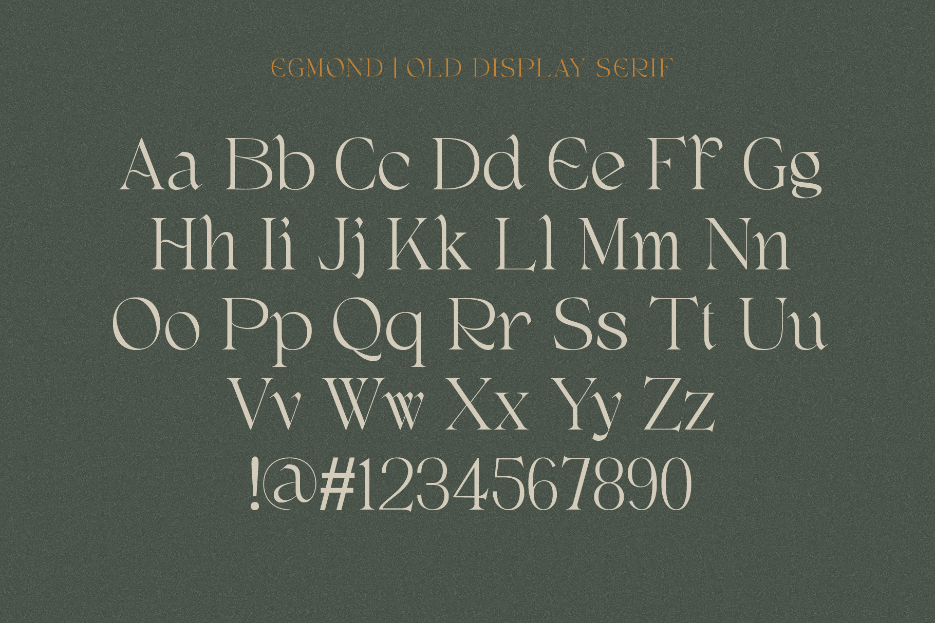 Egmond Display Serif Font 3