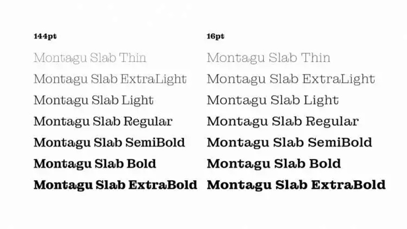 Montagu Slab Font Family-2