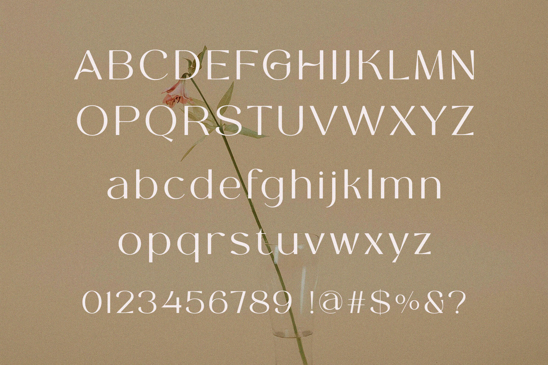 Hasweny Font-3