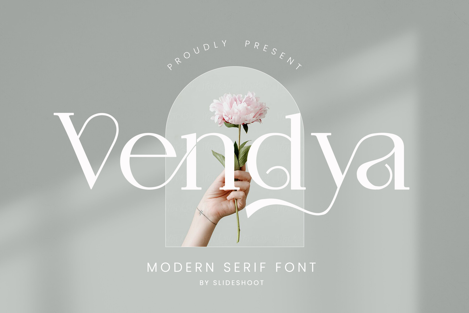 Vendya Font